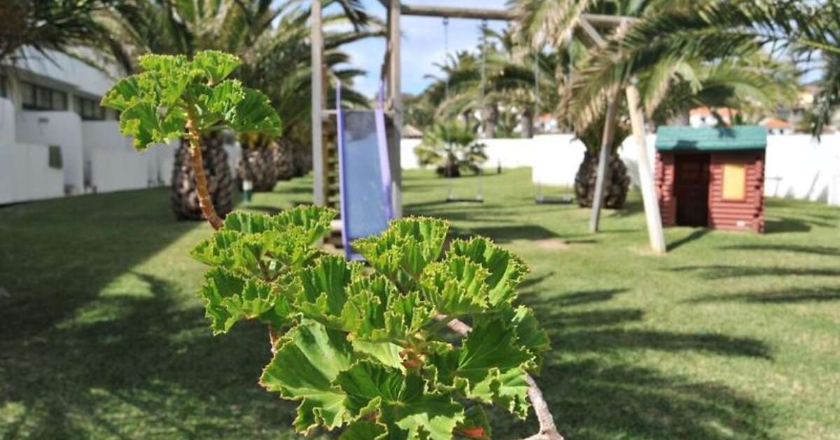 Een foto van Hotel Torre Praia