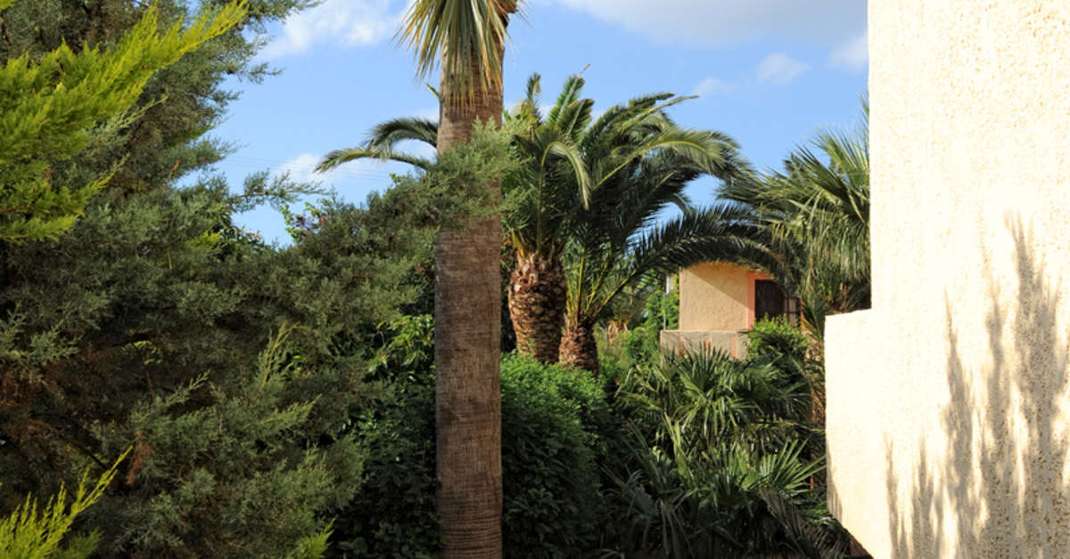 Een foto van de buitenkant van Villa Sonia Hotel