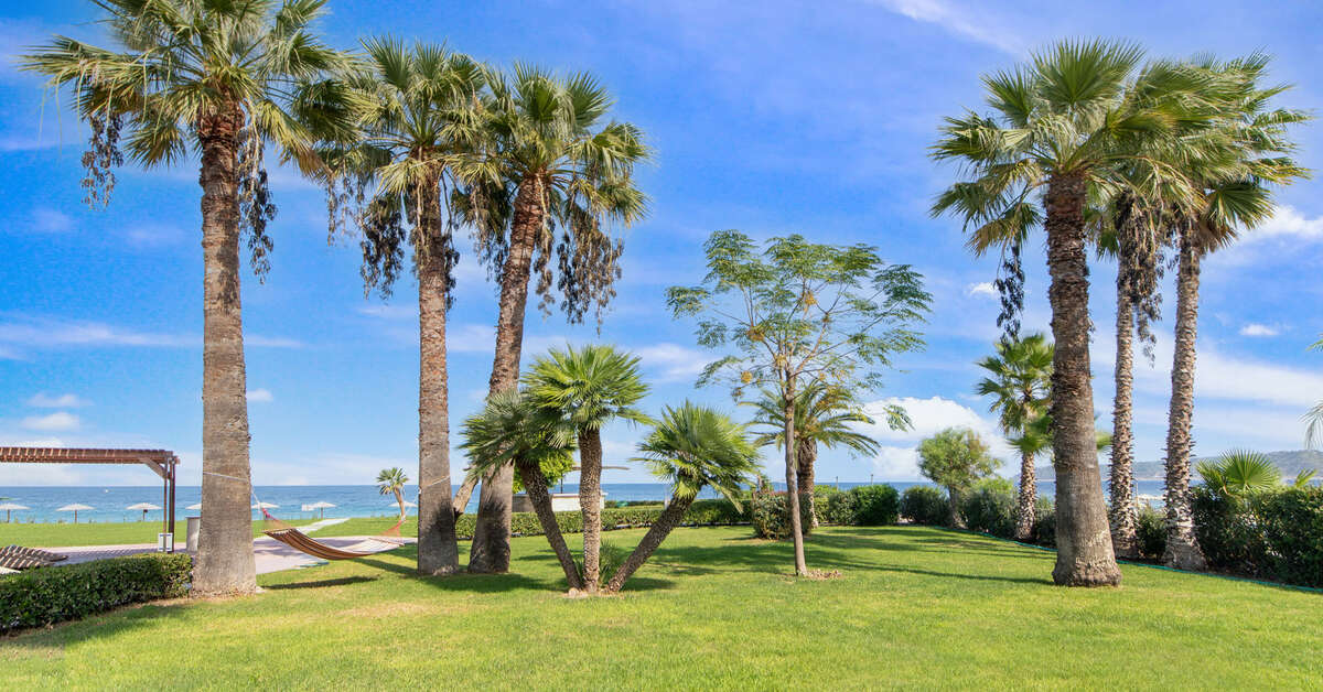Ein Foto von der Terrasse im Ixia Dream Beachfront Hotel