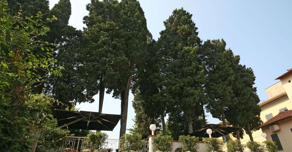 Een foto van Hotel Bologna
