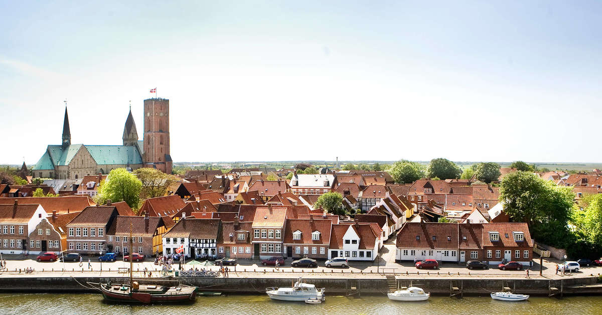 Een foto van Ribe Byferie