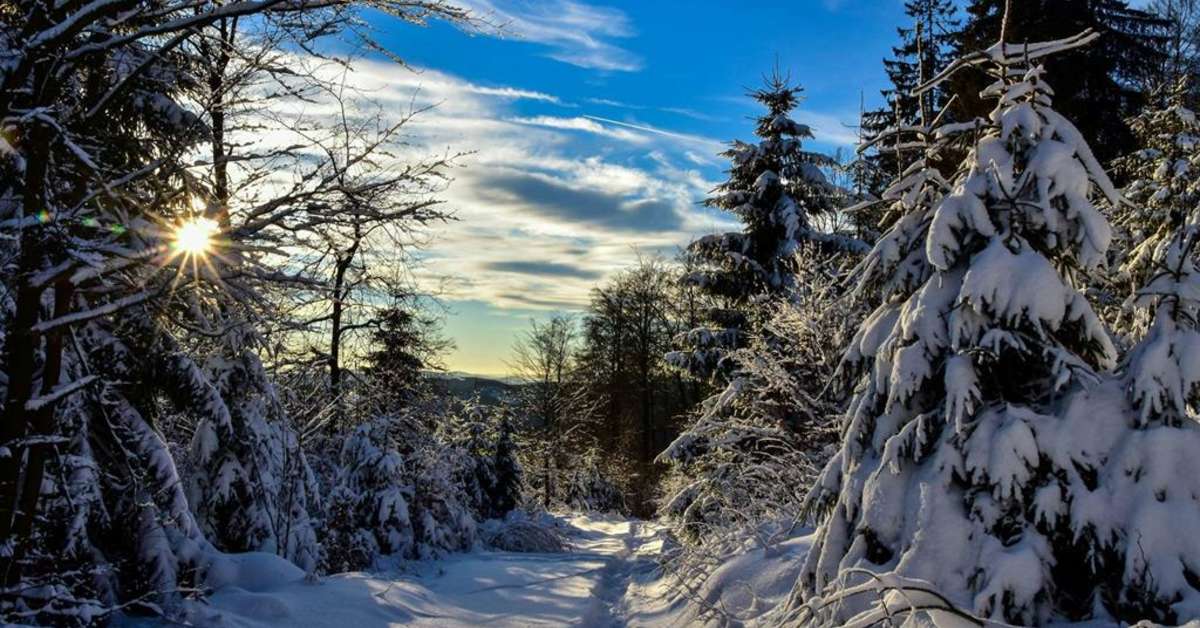 Een foto van Romantik Landhotel Doerr