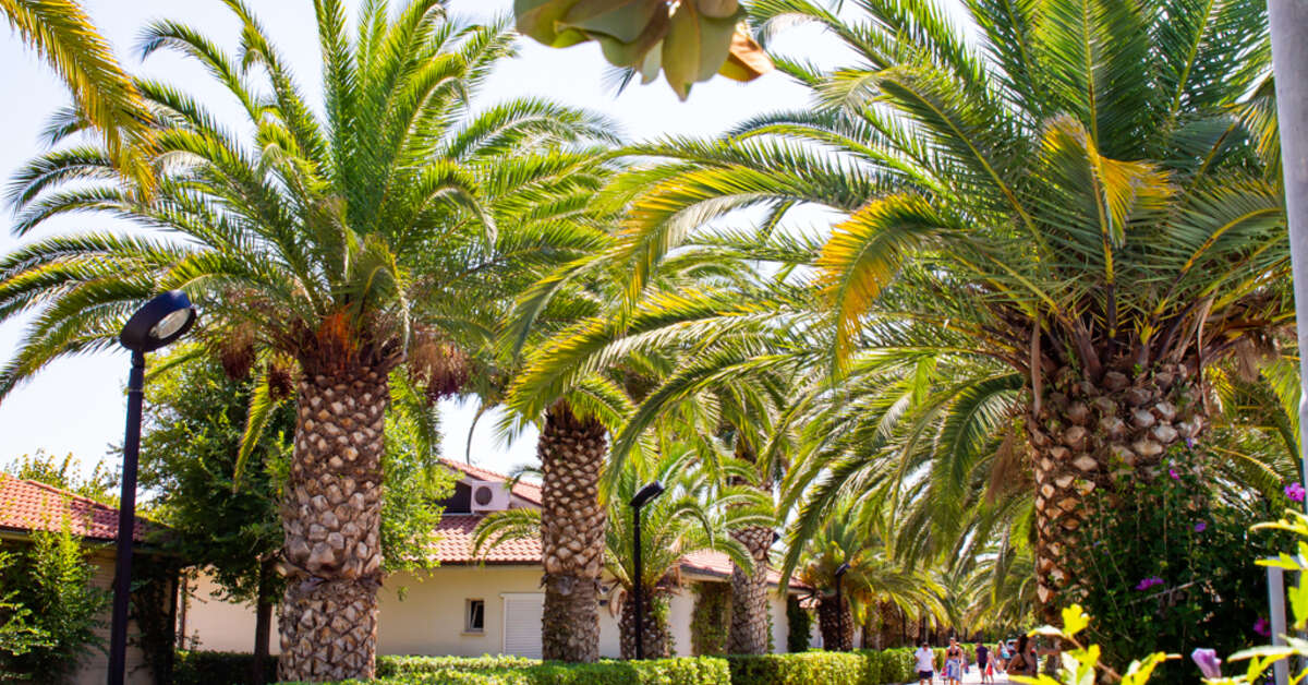 Een foto van Villaggio Lido d'Abruzzo