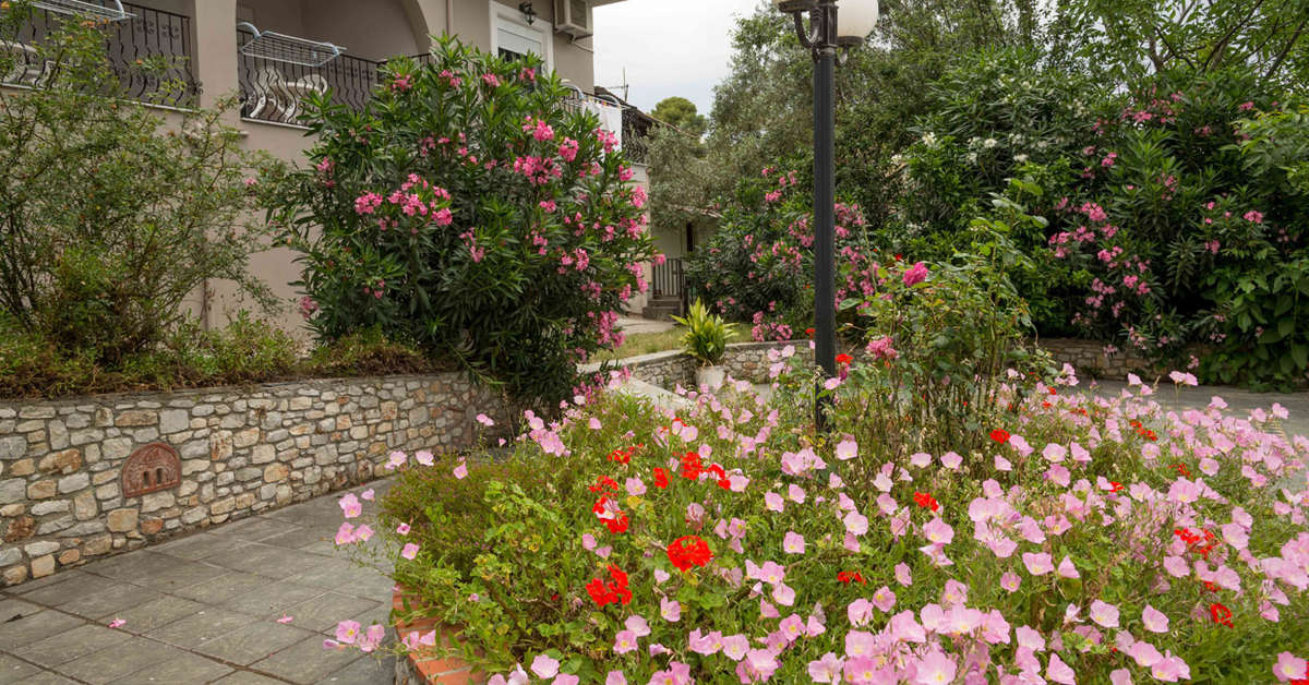 Een foto van Villa Albanis