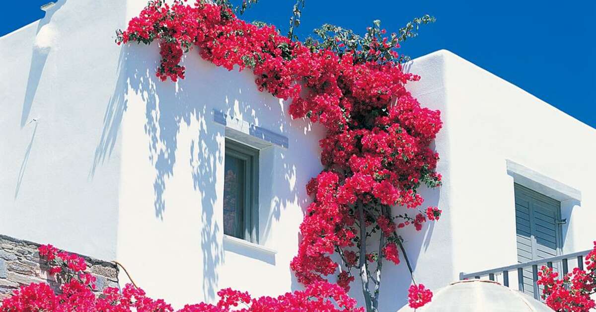 Een foto van Yria Boutique Hotel & Spa