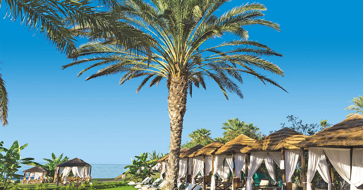 Een foto van Constantinou Bros Athena Royal Beach Hotel