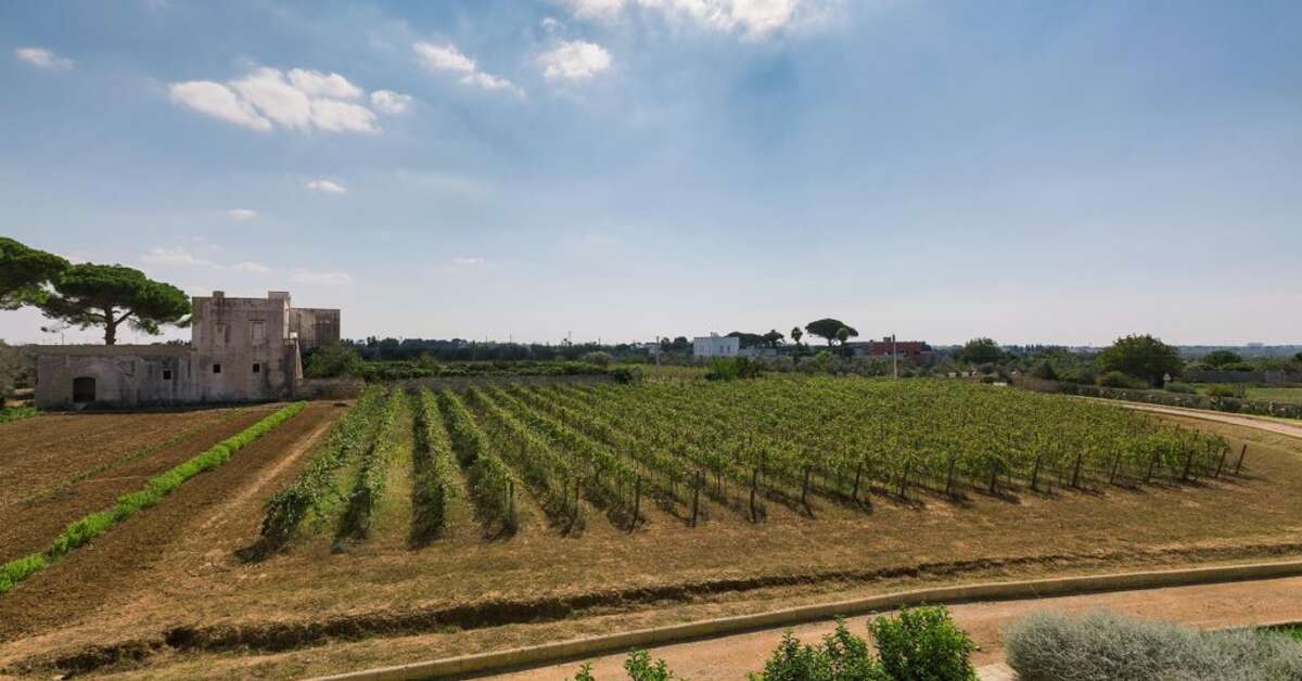 Een foto van Tenuta Mose Charming House Relais