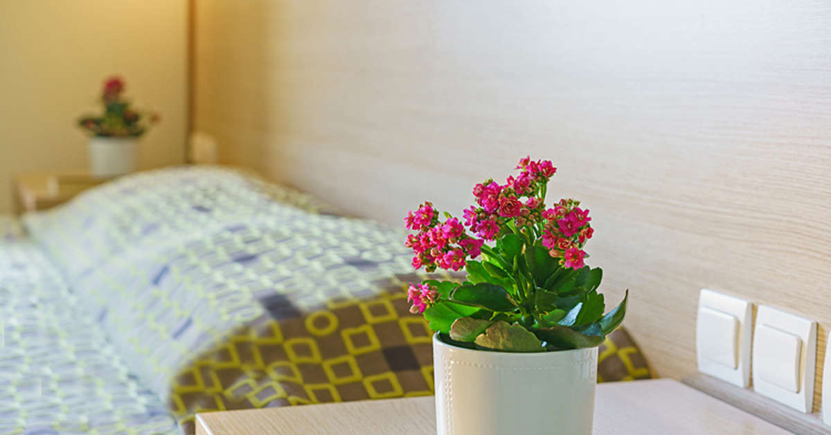 Een foto van Alianthos Beach Hotel