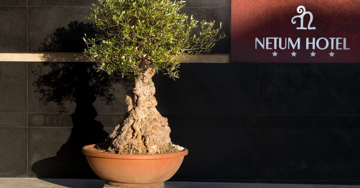 Een foto van de buitenkant van Netum Hotel