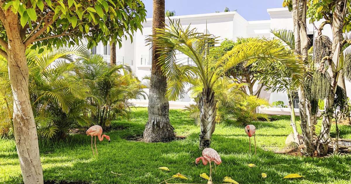 Een foto van het terras bij Flamingo Beach Mate