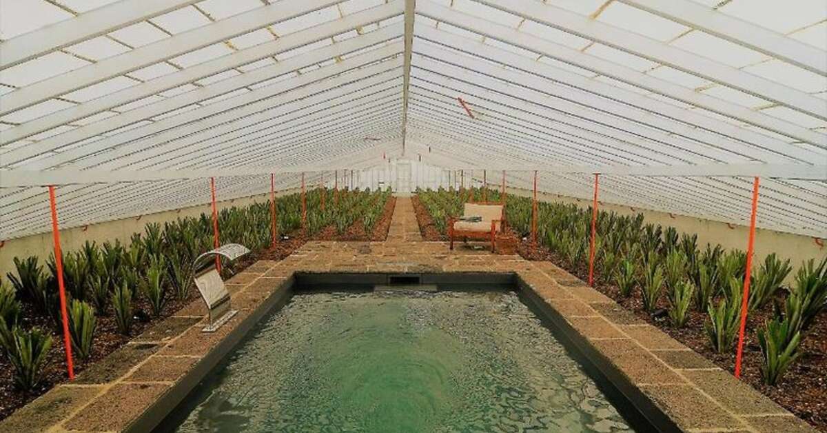 Een foto van Herdade do Ananas