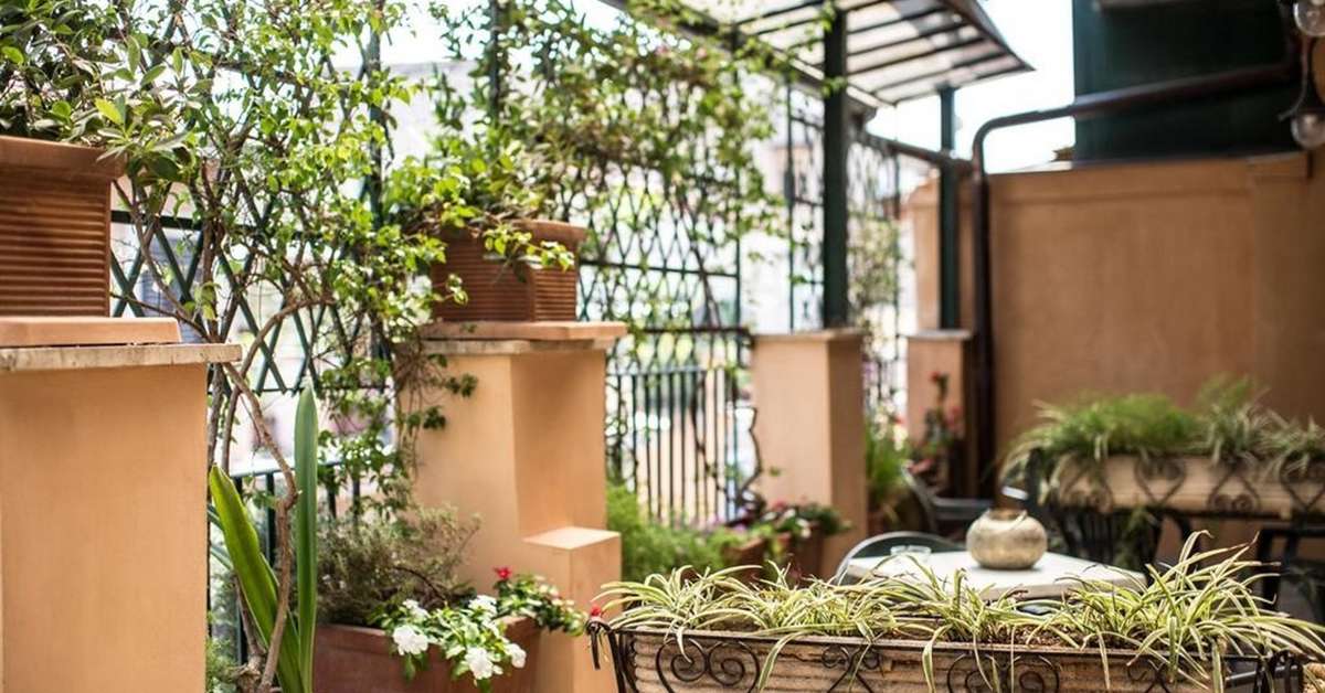 Een foto van Hotel Grifo