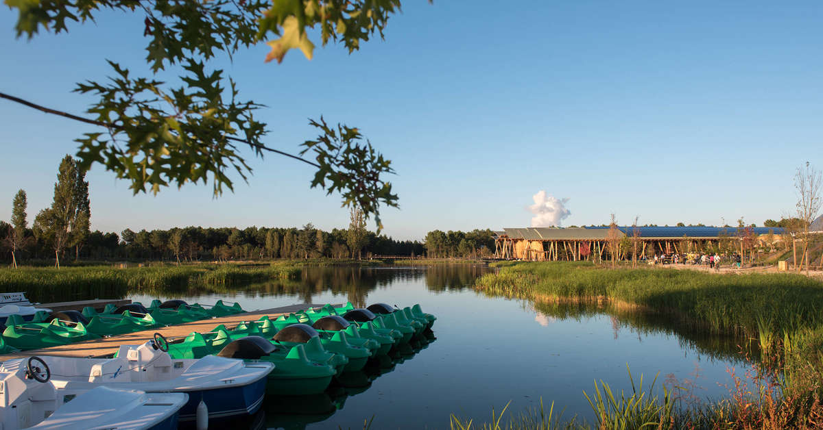 Een foto van de faciliteiten bij Center Parcs Domaine Le Bois aux Daimes