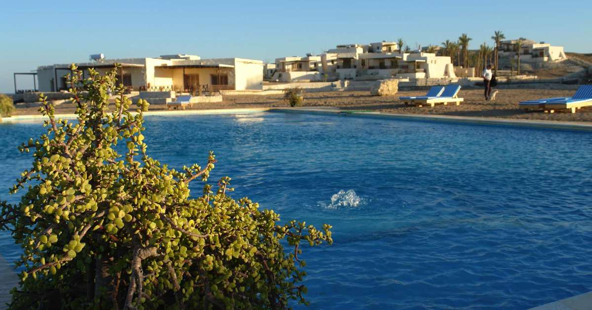 Ein Foto The Oasis Marsa Alam