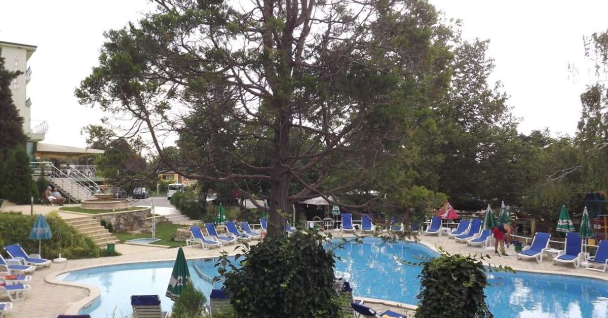 Een foto van Hotel Silver