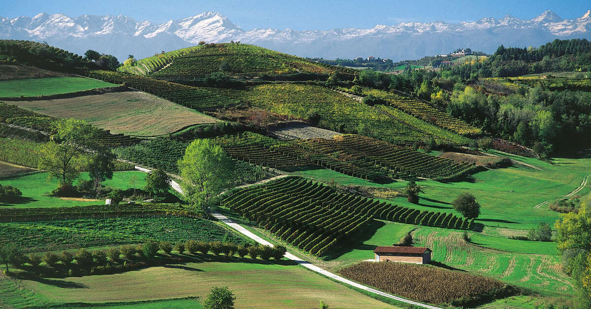 Een foto van Castello di Montaldo