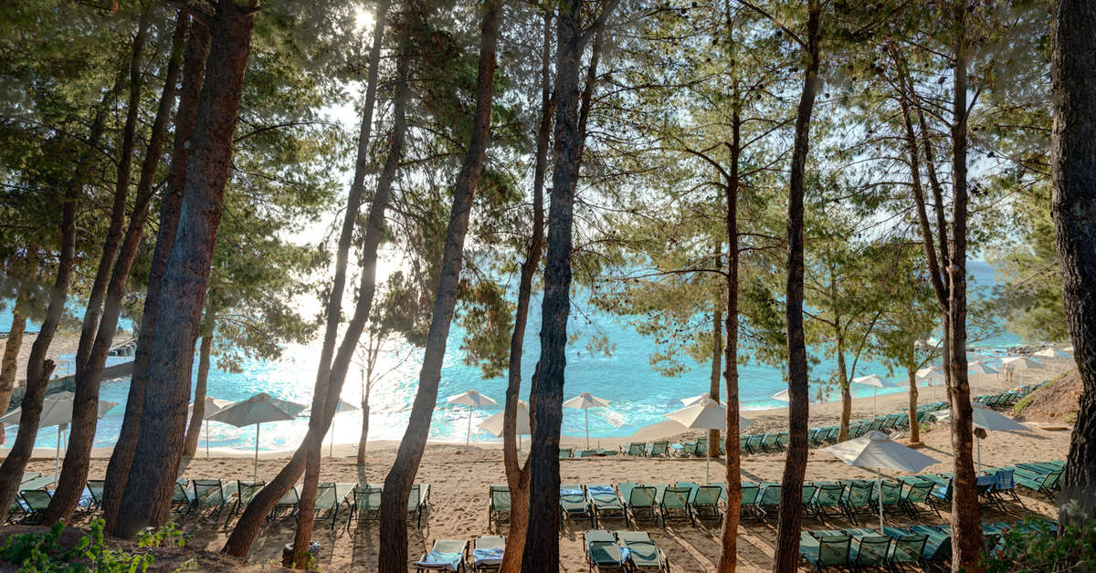 Een foto van het strand bij Candia Park Village