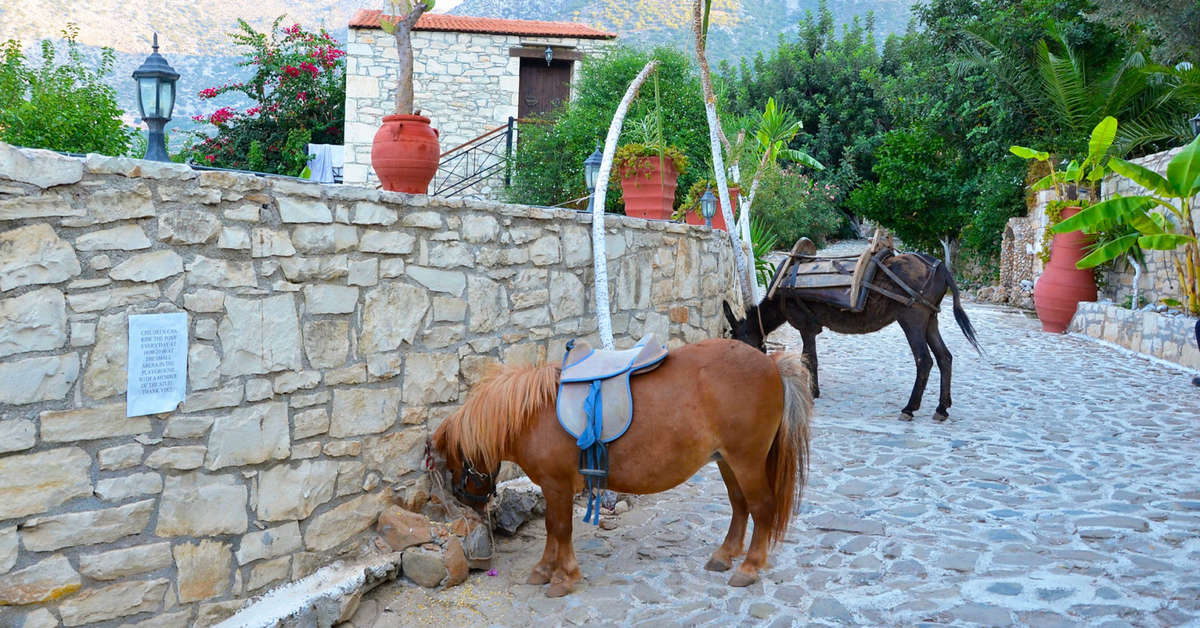 Ein Foto von den Einrichtungen im Stone Village Petrino Horio