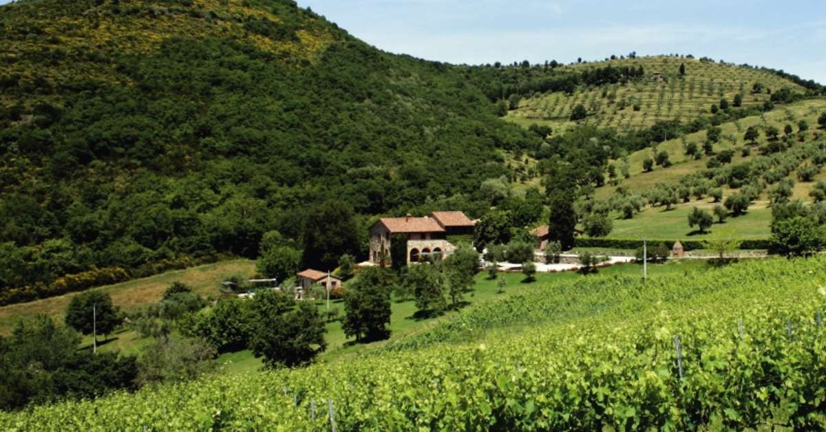 Een foto van Relais Villa Monte Solare