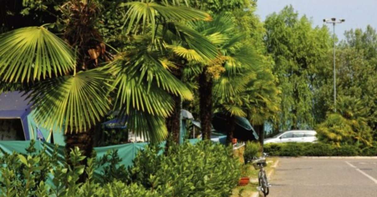 Een foto van Residence Tiglio