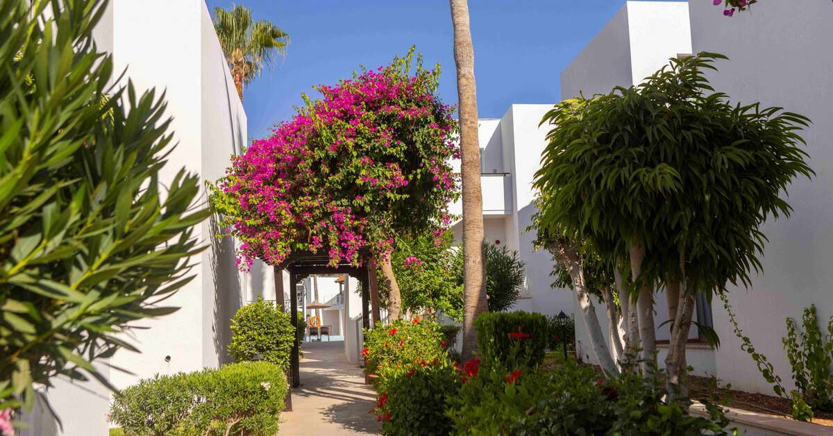 Een foto van Kapetanios Aqua Resort