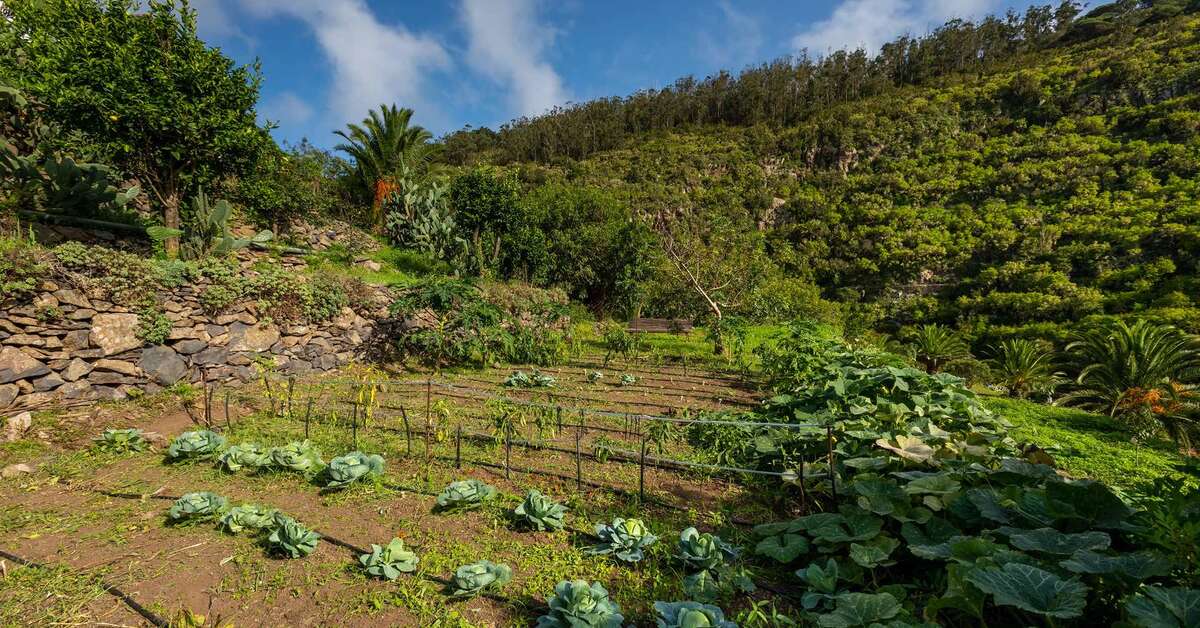 Een foto van Finca Las Casas del Chorro