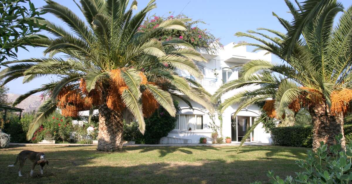 Een foto van Gorgona Hotel