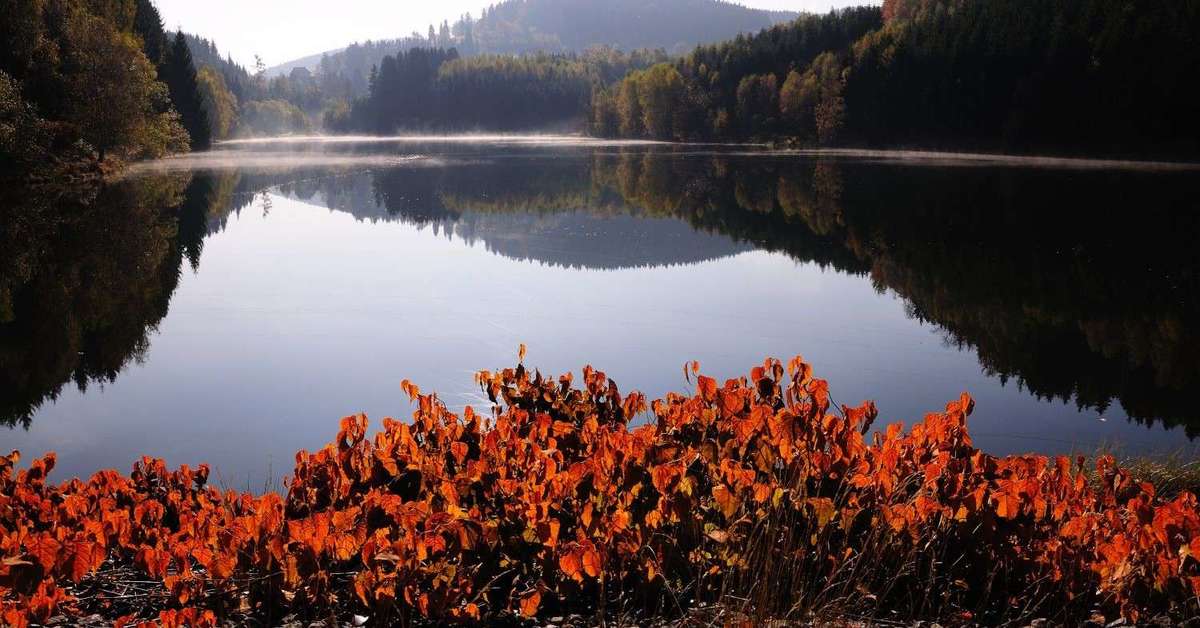 Een foto van Hotel Am Bühl