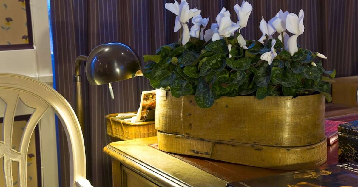 Een foto van Hotel le Saint Gregoire