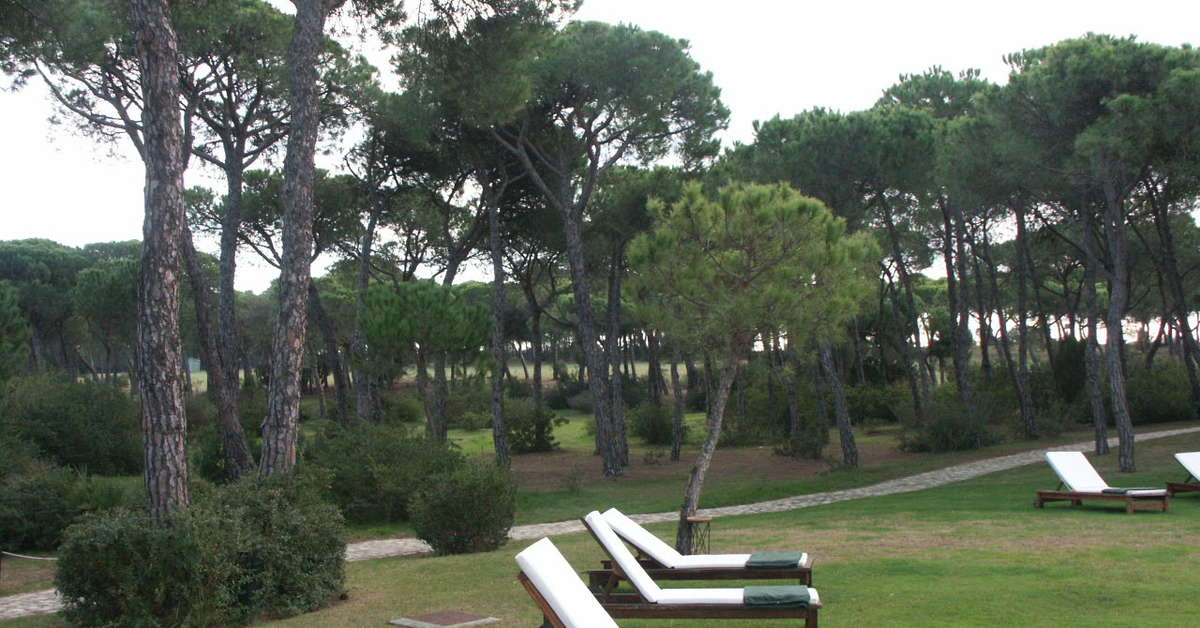 Een foto van het terras bij Hotel Nuevo Portil Golf