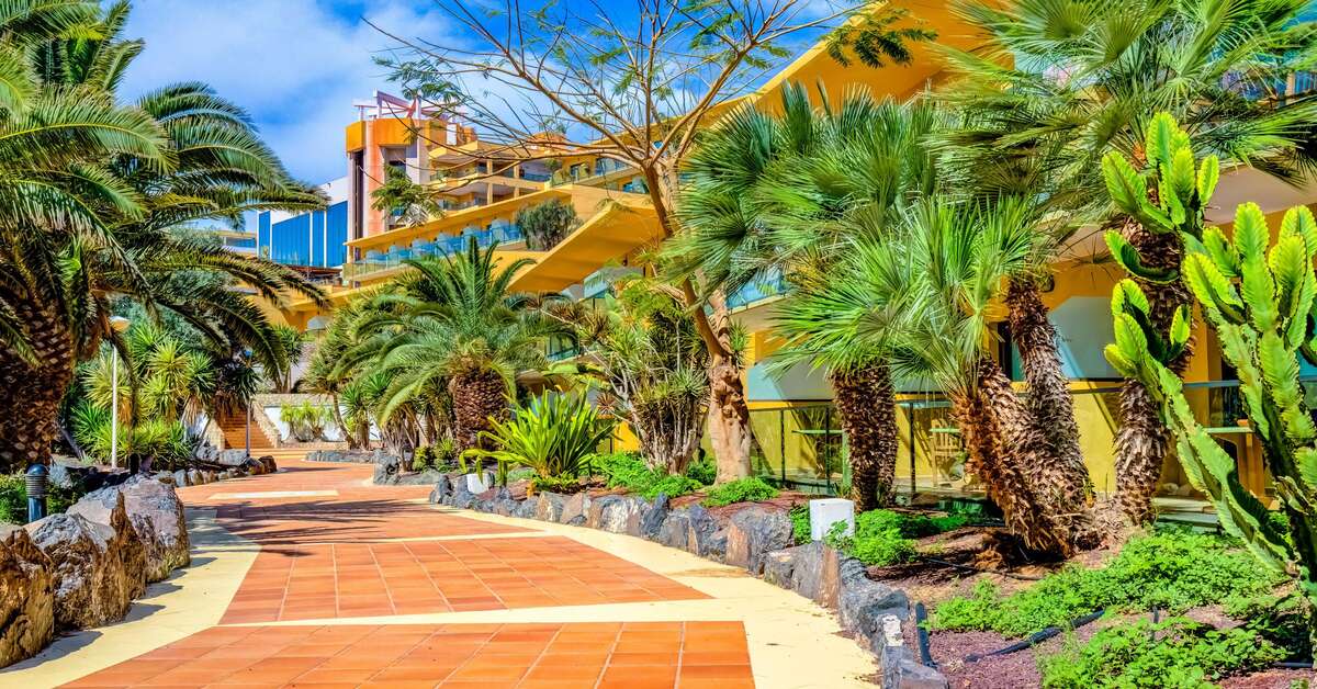 Een foto van het terras bij SBH Hotel Club Paraiso Playa