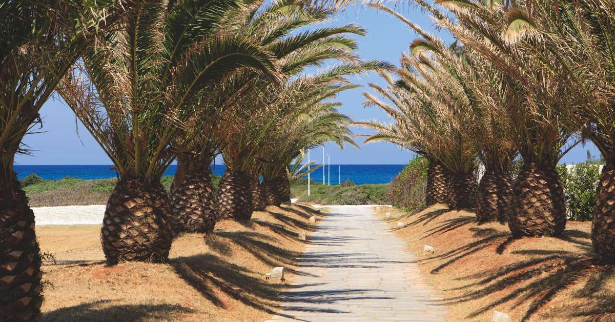 Een foto van Grand Hotel Masseria Santa Lucia