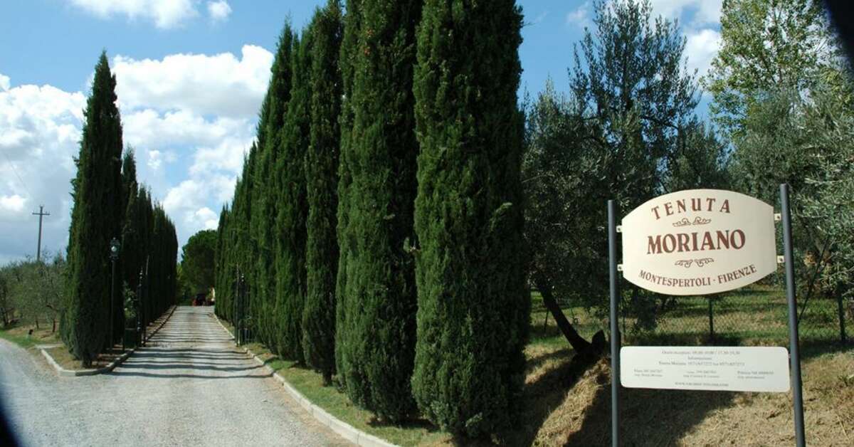 Een foto van Tenuta Moriano
