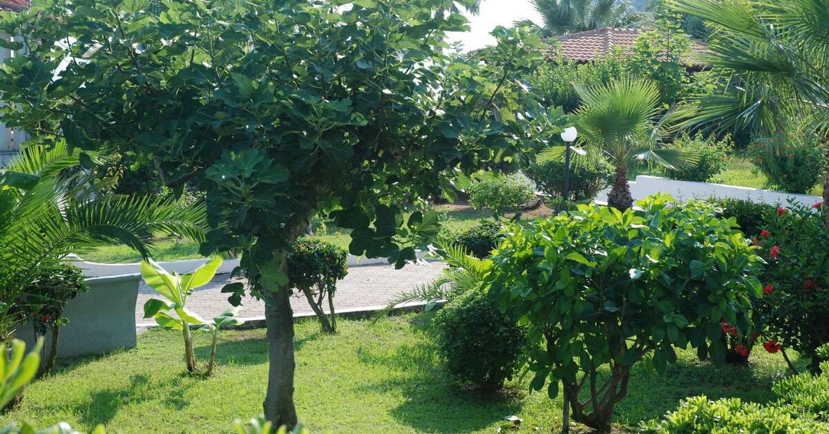 Een foto van Villaggio Baia d'Ercole