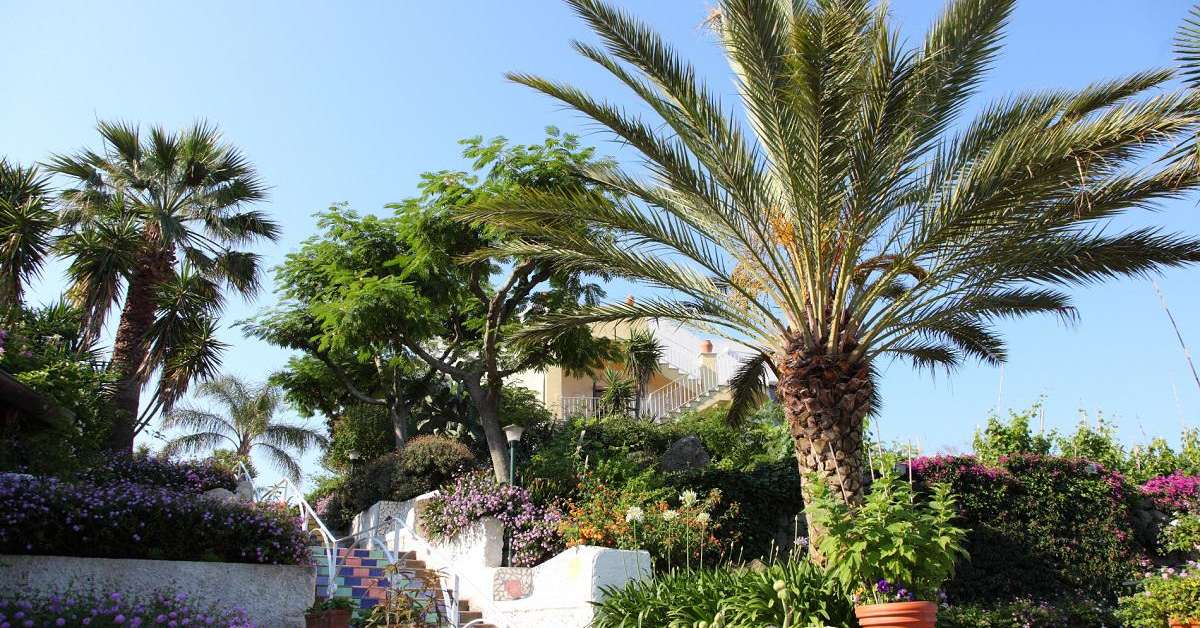 Een foto van Hotel Paradiso Terme Resort & Spa