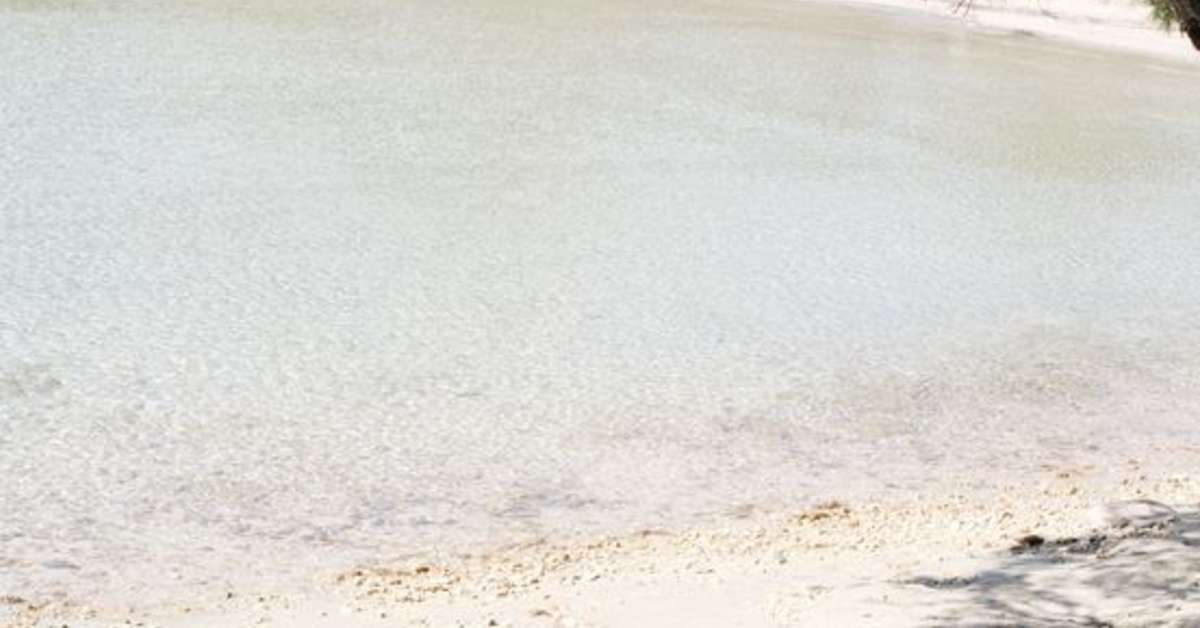 Een foto van Pine Beach Ecoresort Pakostane