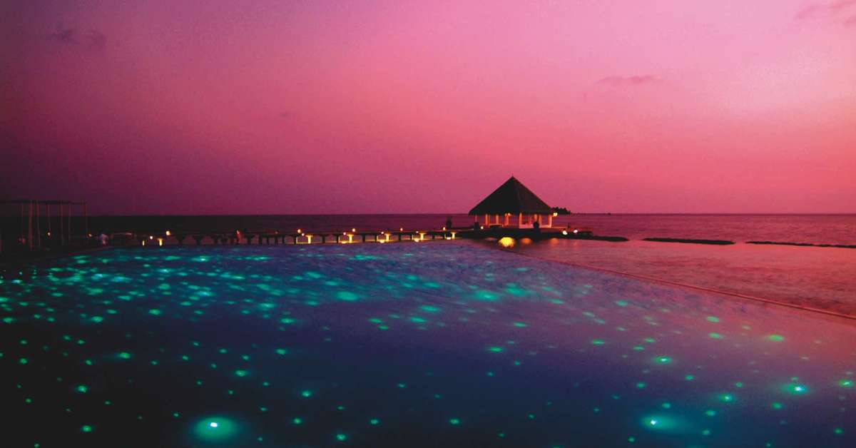 Een foto van Coco Bodu Hithi