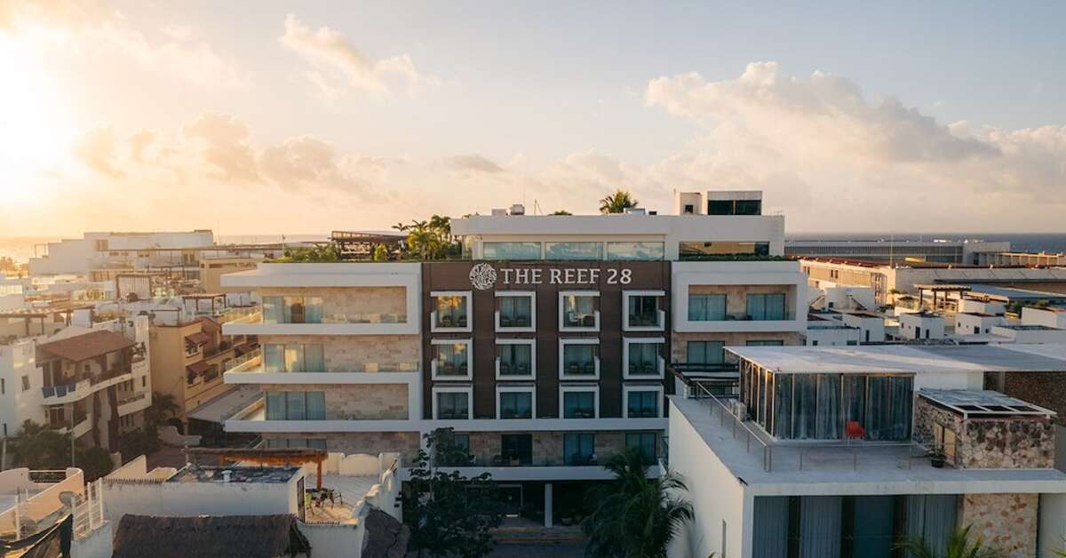 Een foto van The Reef 28