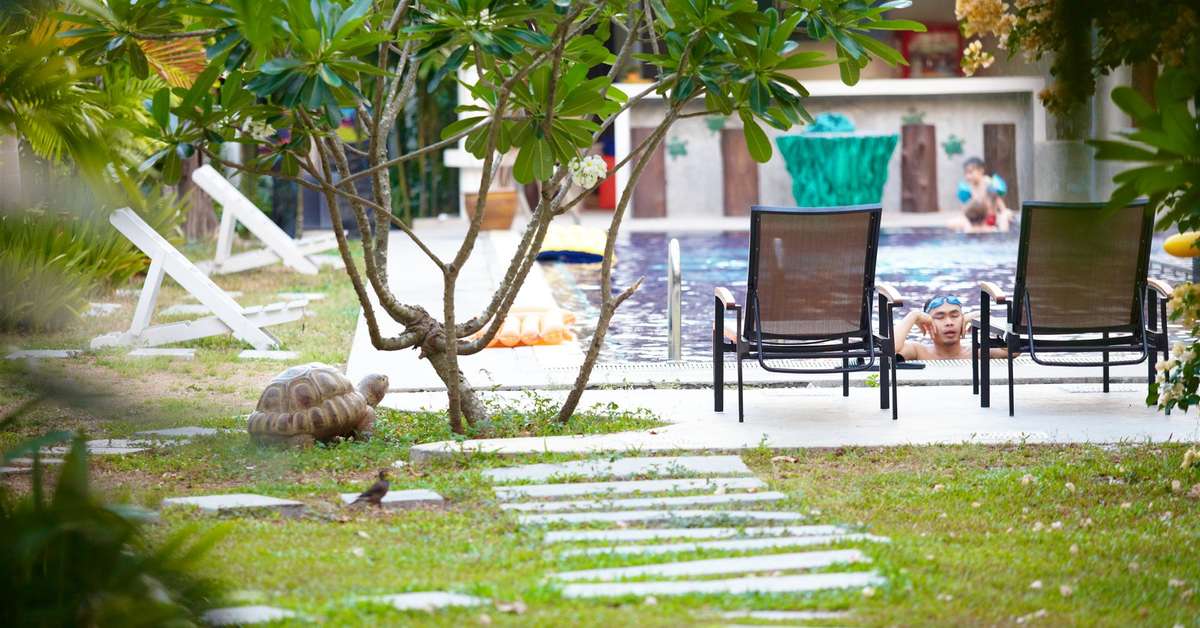 Een foto van Nai Yang Beach Resort