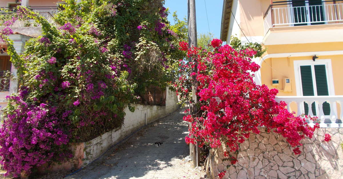 Een foto van de buitenkant van Kavos Fantasia Complex