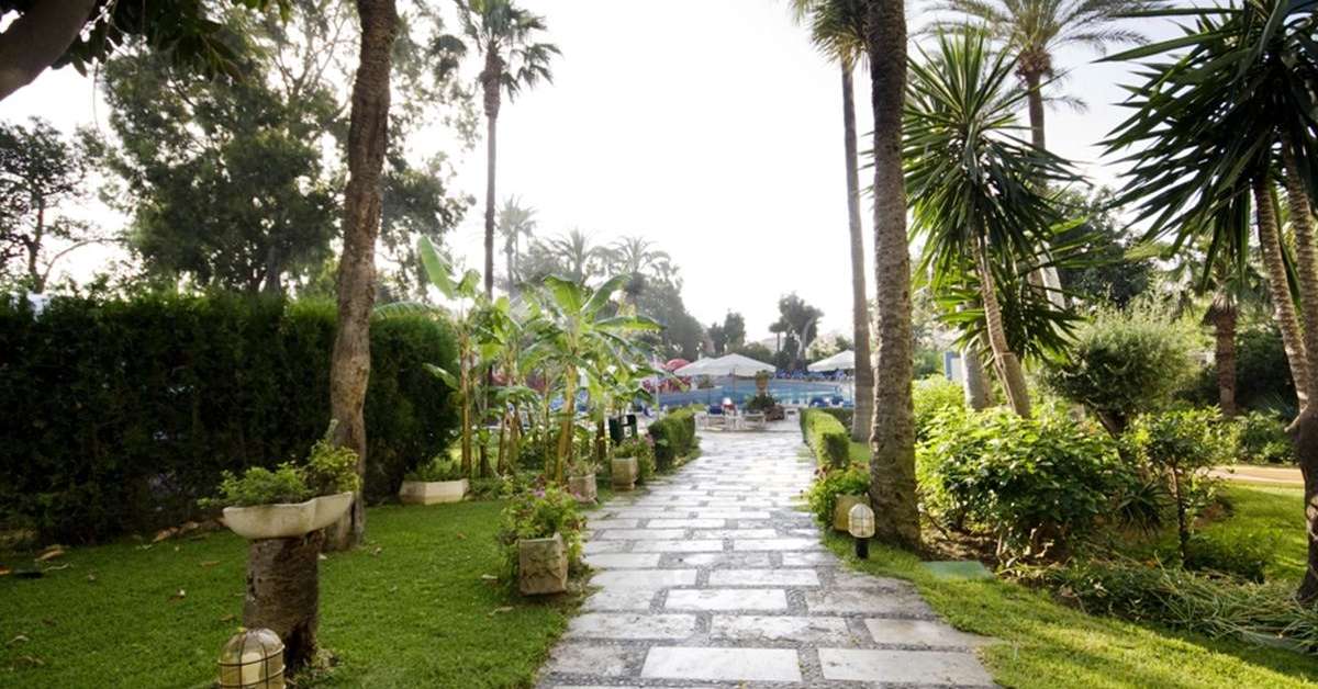 Een foto van het terras bij Hotel Palmasol