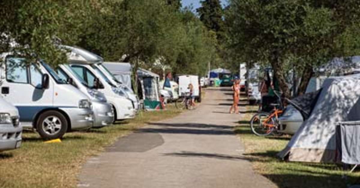 Een foto van Camping Oliva