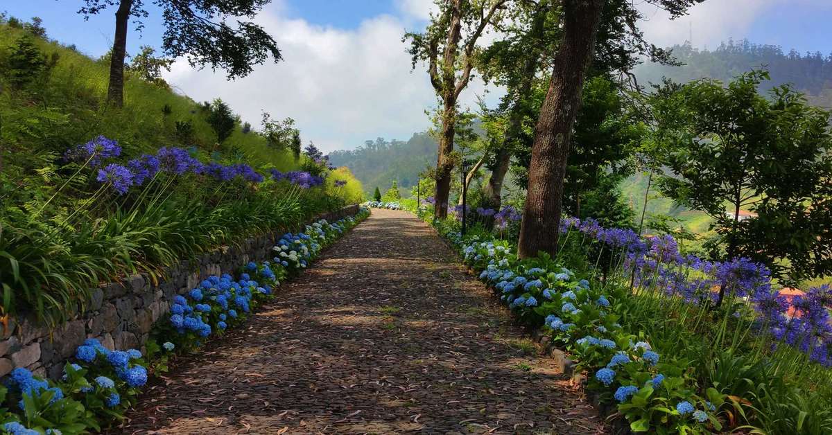 Een foto van de buitenkant van Hotel Quinta Da Serra