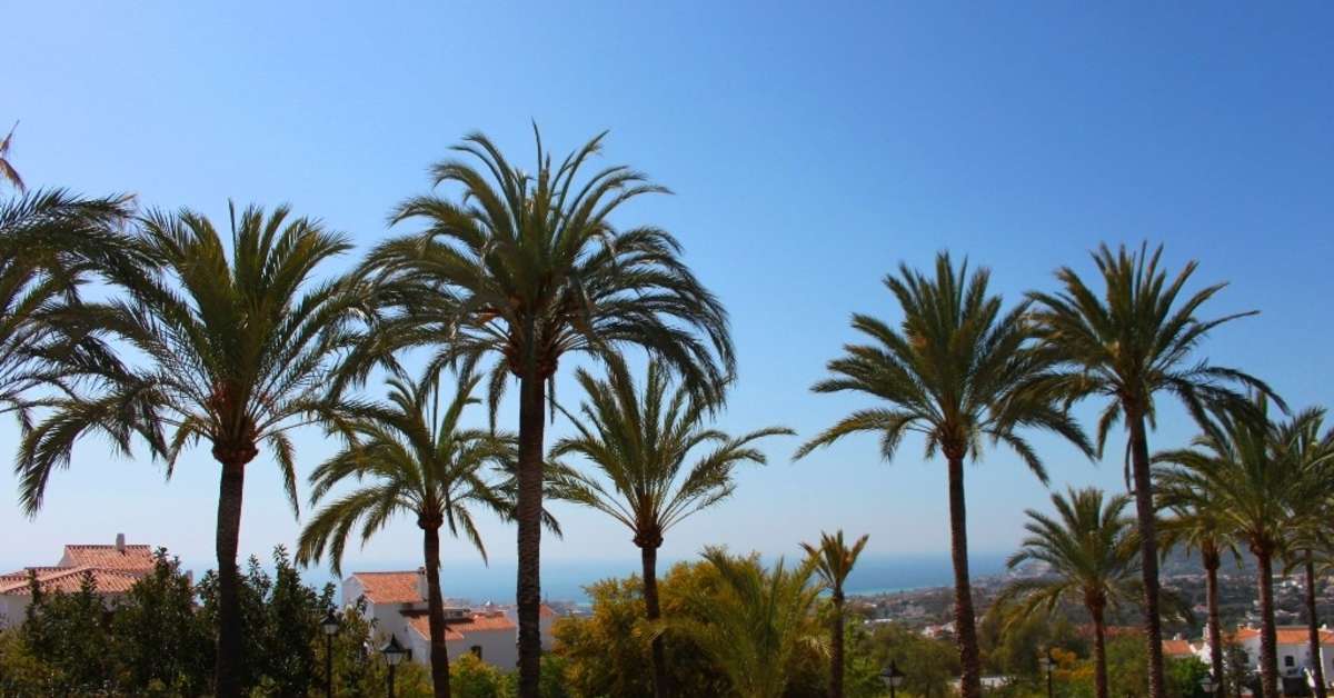 Een foto van El Capistrano Village