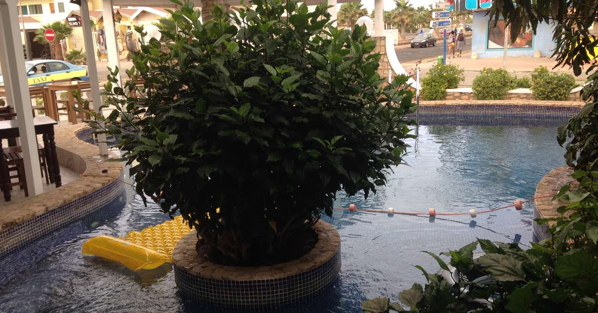Een foto van het zwembad bij Nha Terra Hotel
