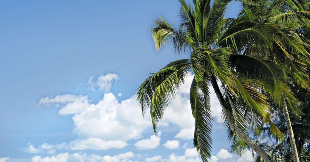 Een foto van Robinson Club Khao Lak
