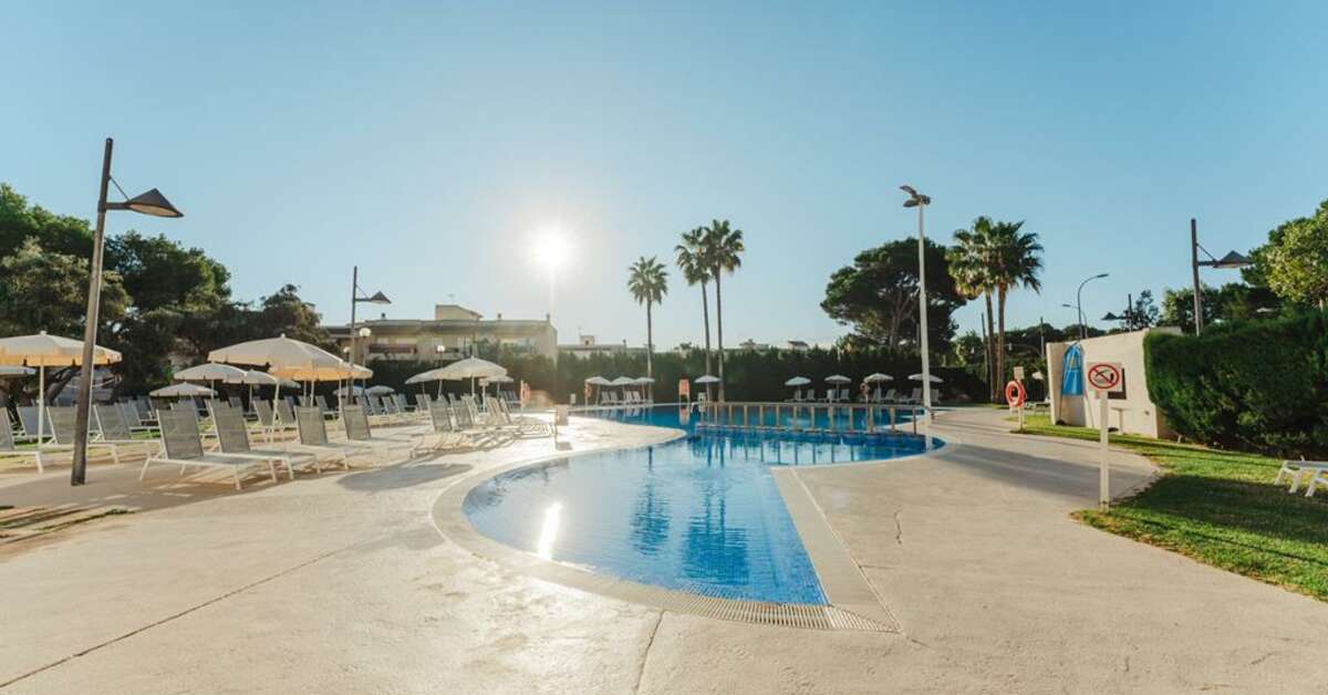 Een foto van Suneo Haiti