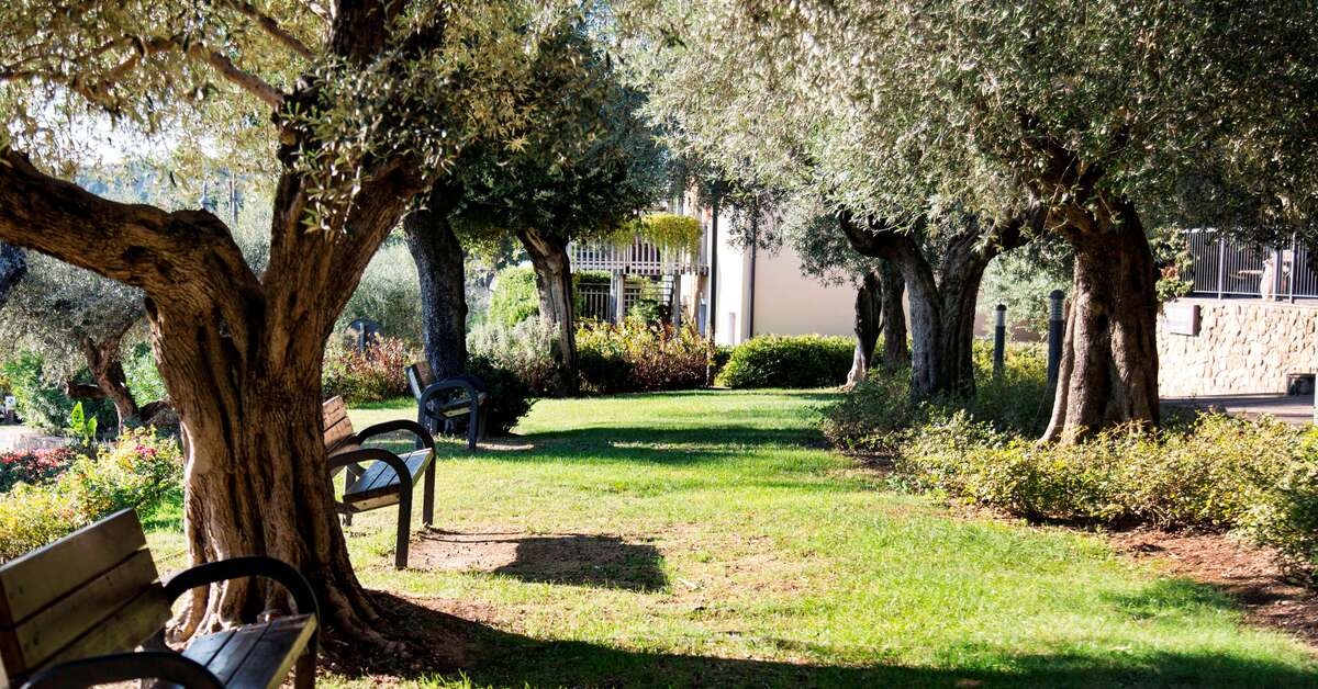 Een foto van Hotel Villa Paradiso Village