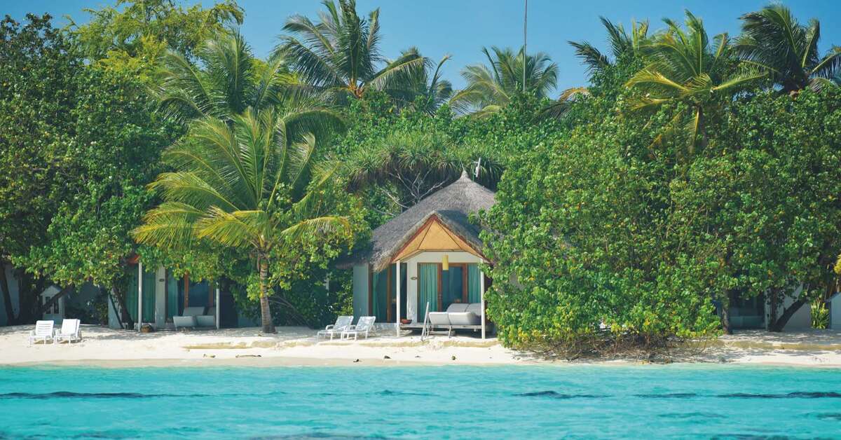 Een foto van Safari Island