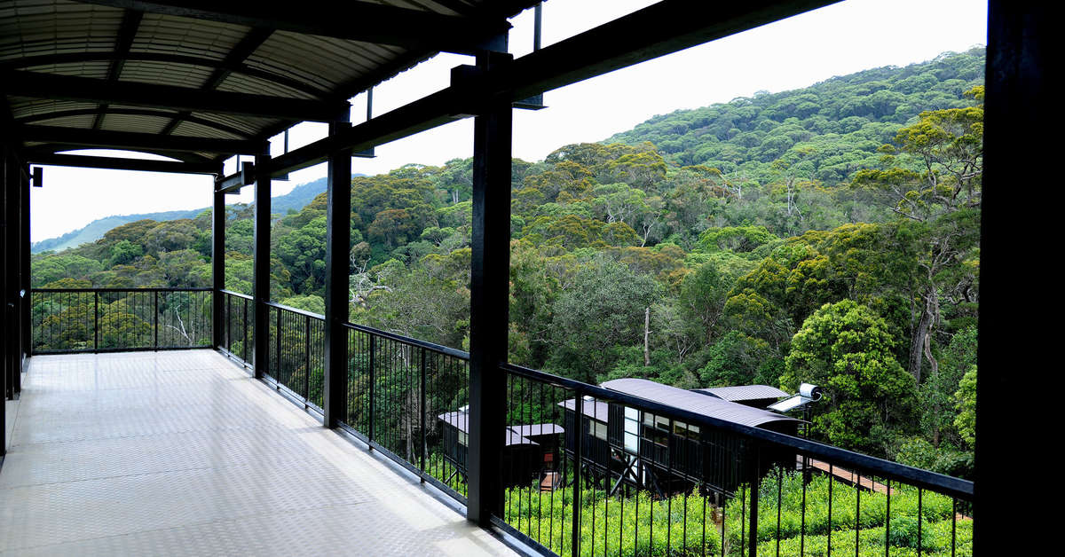 Een foto van Rainforest Eco Lodge